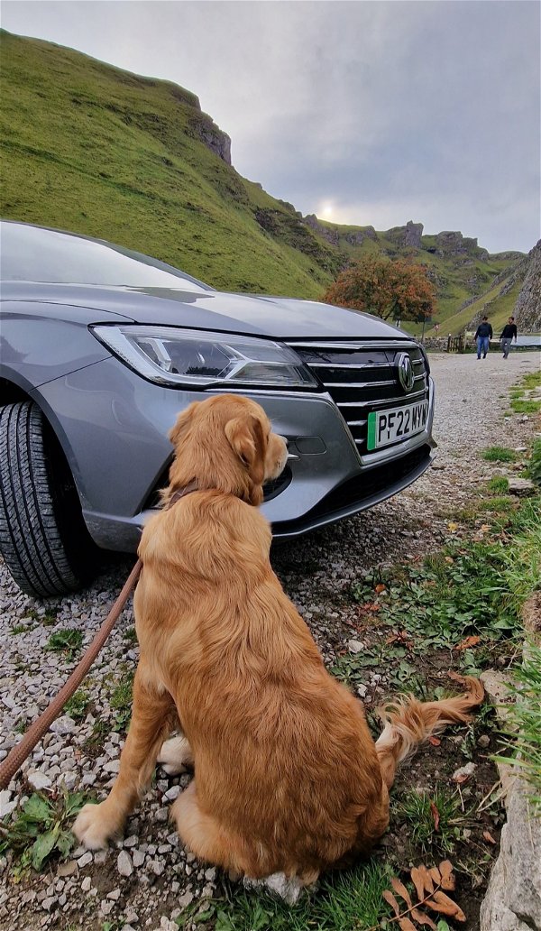 MG5 EV Best Car for Dogs 2022