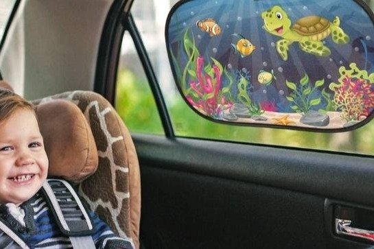 childrens sunshade for the car