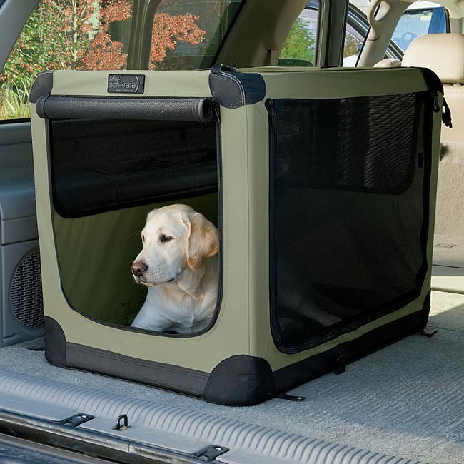 Dog car hot sale solutions