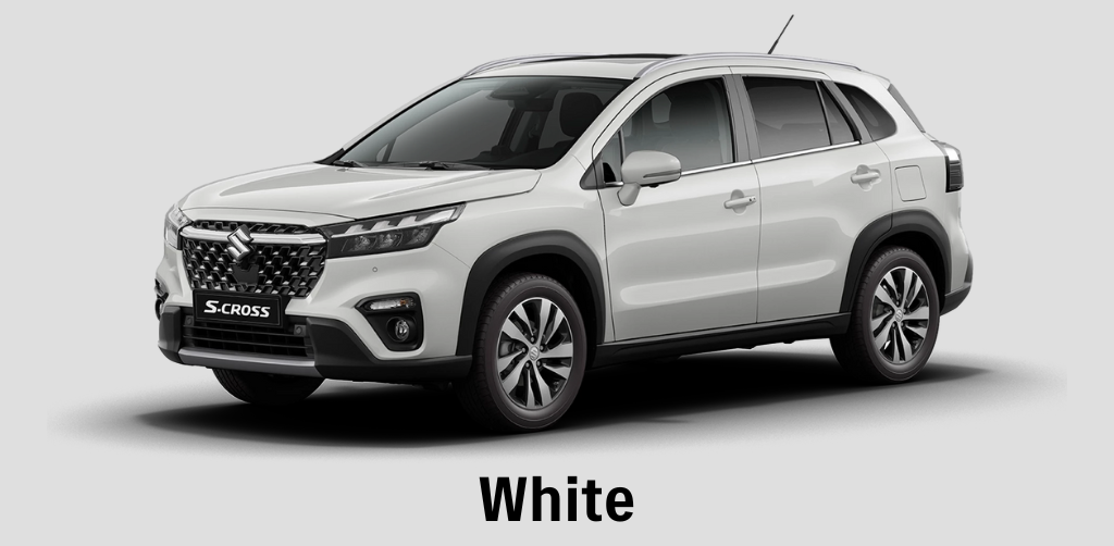Suzuki S-Cross White