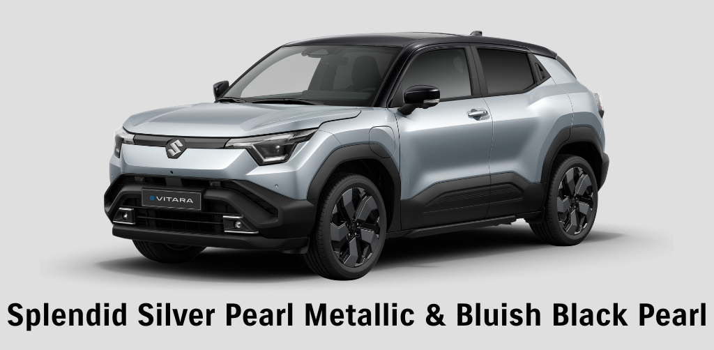 e Vitara Splendid Silver & Black