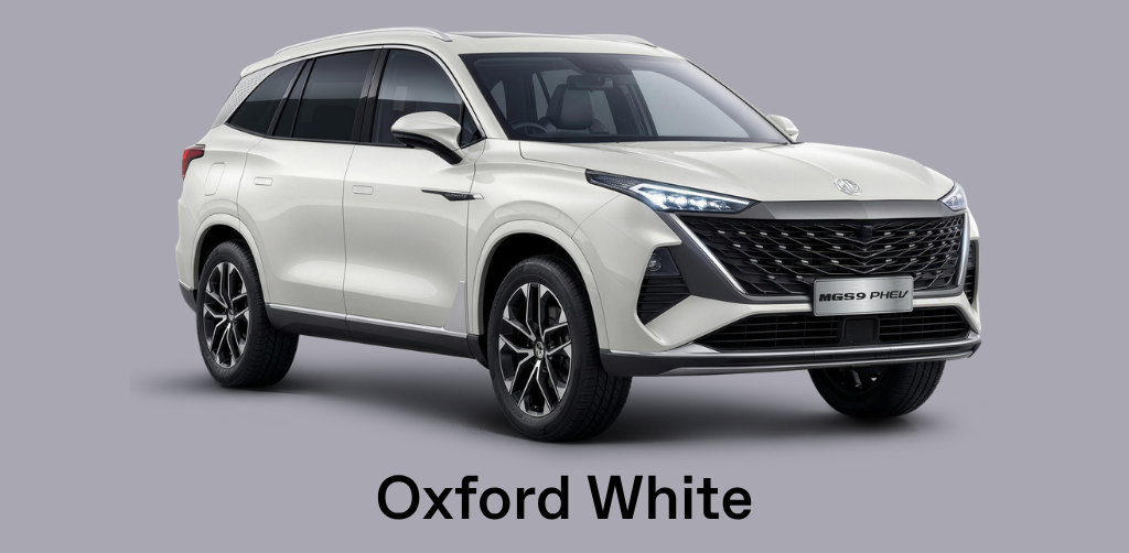 MGS9 in Oxford White
